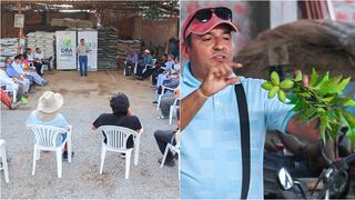 Ica: agricultores capacitados para el manejo integrado del cultivo de pecano y otros