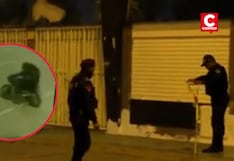 Los Olivos: Explosión de granada en centro de convenciones causa daños materiales (VIDEO)
