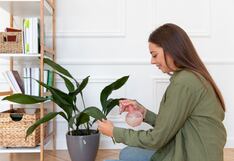 Ventilación en casa: cómo mantener tu hogar fresco de manera eficiente este verano