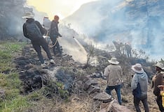 La Libertad: Incendio forestal afecta santuario de Calipuy
