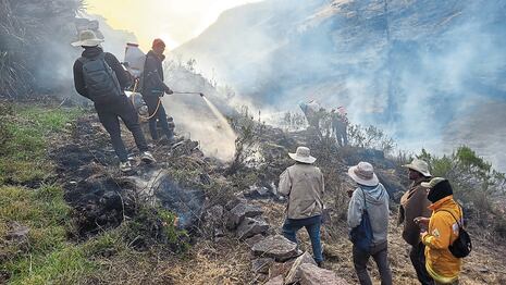La Libertad: Incendio forestal afecta santuario de Calipuy