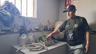 Celulares y droga vuelven a aparecer en penal de Arequipa pese a controles