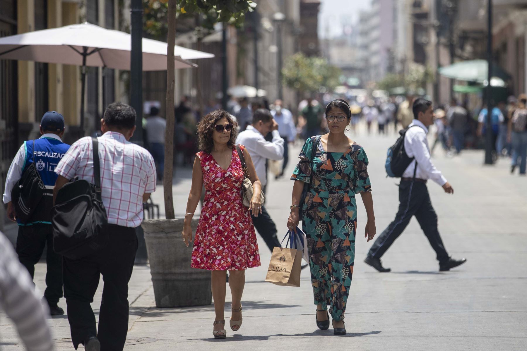 El Senamhi señaló cómo será el invierno por el Fenómeno El Niño. (Foto: Andina)