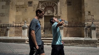 La alerta por las altas temperaturas en España: “Las muertes por calor se volverán a disparar si no hacemos nada”