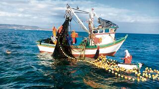 El exdirector regional de Producción en Piura, Lizardo Ayón: “La veda de la pota genera 50,000 desempleos”