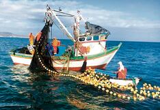 El exdirector regional de Producción en Piura, Lizardo Ayón: “La veda de la pota genera 50,000 desempleos”