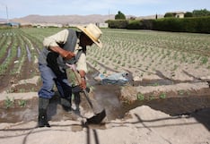 Reducen 30% de agua a agricultores de Arequipa y escasez ya genera pérdidas económicas