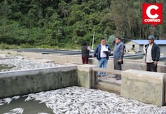 Más de 2.5 millones de truchas mueren en Pariahuanca y desatan emergencia ambiental
