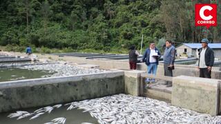 Más de 2.5 millones de truchas mueren en Pariahuanca y desatan emergencia ambiental