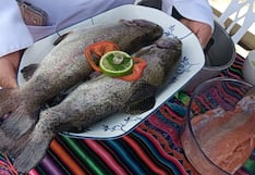 Huancayo: Trucha rellena para la cena de Año Nuevo, mira aquí la receta para novedoso platillo