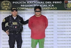 Ica: detienen a presunto ladrón de 64 palmeras de dátiles valorizadas en 20 mil soles