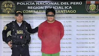 Ica: detienen a presunto ladrón de 64 palmeras de dátiles valorizadas en 20 mil soles