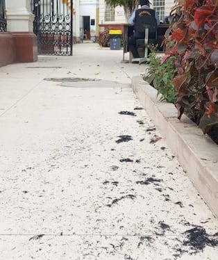 Residuos de cenizas llegaron hasta al hospital Las Mercedes.