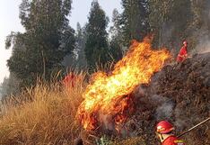 Junín: Urge declaratoria de emergencia ante ola de incendios forestales