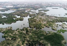 El Niño amenaza ecosistema de los Pantanos de Villa: advierten reducción de los espejos de agua
