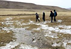 Hectáreas de cultivos de la región Arequipa son afectadas por las heladas (VIDEO)