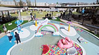 Correo te lleva de paseo: Bebotes Dog Park en Arequipa, juegos y piscina para perros (VIDEO)