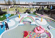 Correo te lleva de paseo: Bebotes Dog Park en Arequipa, juegos y piscina para perros (VIDEO)