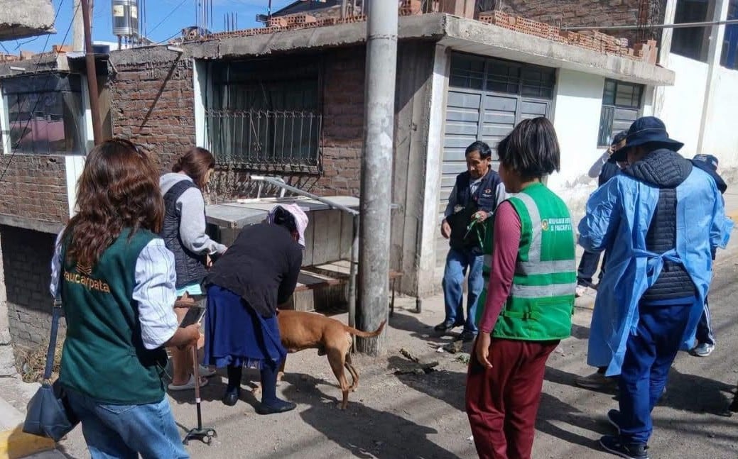 Arequipa: multa de S/ 11 mil por criar perros en la calle o instalar sus casas en las veredas (Foto: Municipalidad de Paucarpata)