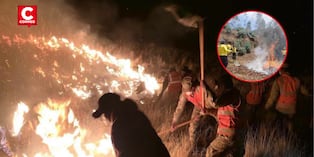 Incendios forestales en Perú: tres siniestros fueron extinguidos y uno permanece controlado. (Foto: Mindef - Serfor)