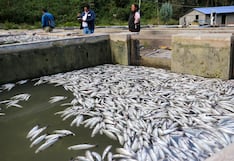 Huancayo: Resultados de instituciones sobre contaminación de río Yarucyacu se contradicen