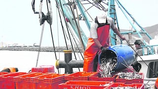 El Niño hace estragos en industria pesquera