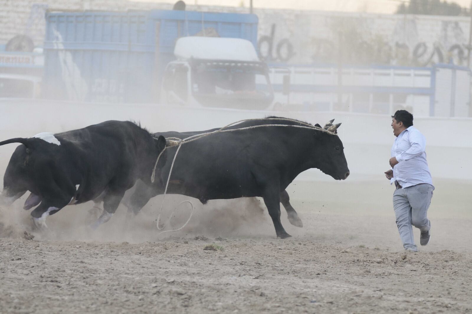 Gallardía entre los criadores de toros en Arequipa. (Foto: Difusión)