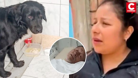 Señora que adoptó a Firulais revela que antiguo dueño se escapó del hospital y dejó al perro.