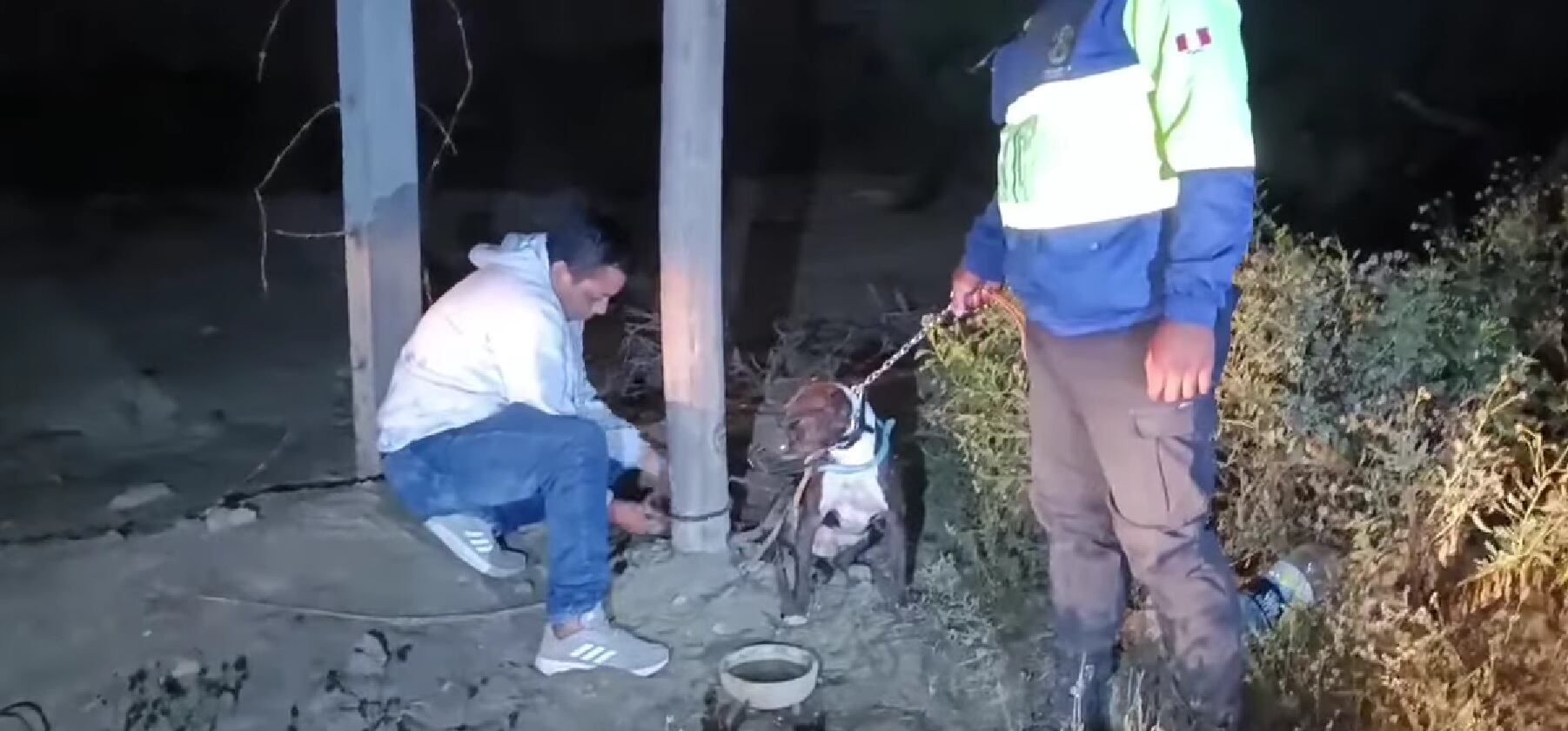 Dueños del animal lo dejaron atado a un poste, donde fue hallado por agentes del serenazgo después de varias horas.