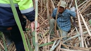 La Libertad: Rescatan con vida a anciano con discapacidad visual que desapareció durante 48 horas