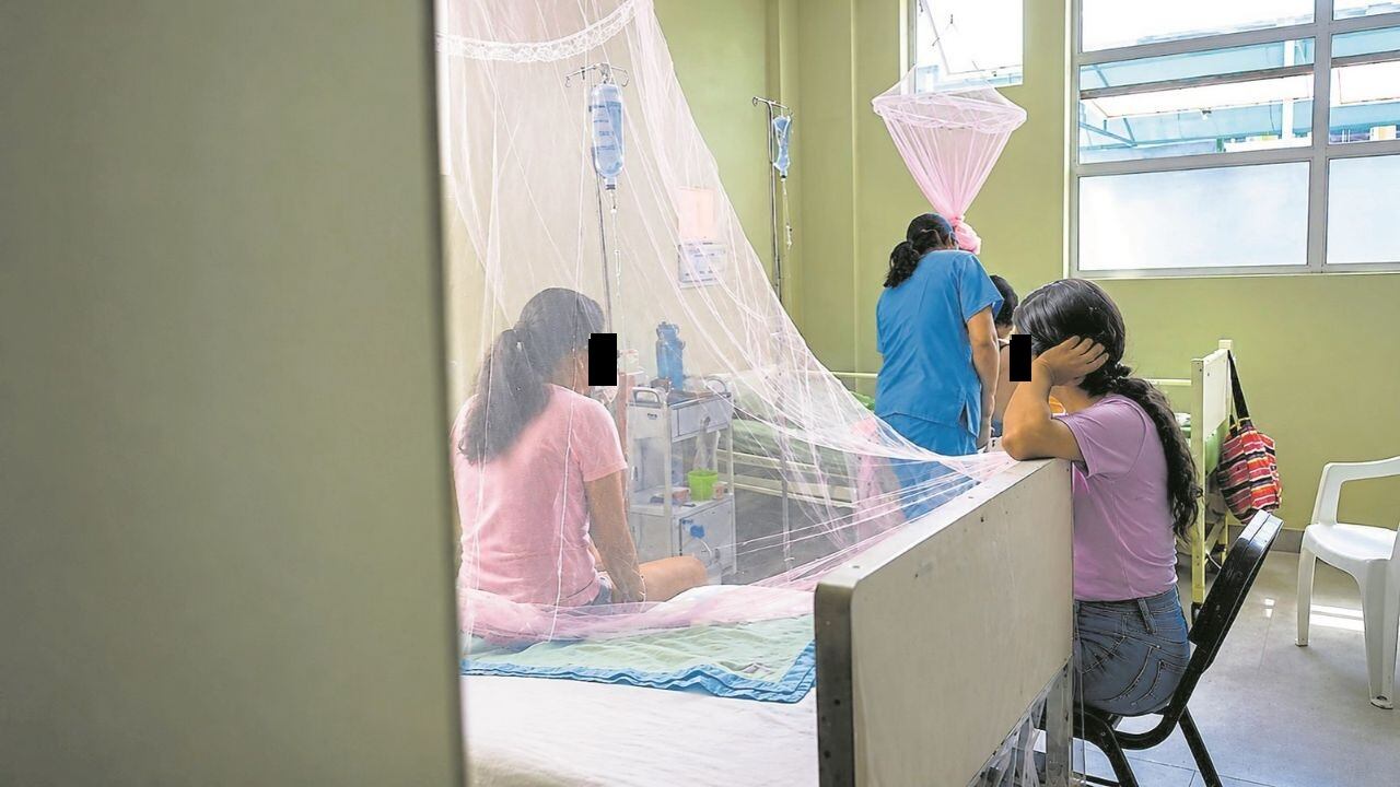 Dengue mata a niña de 4 años: es la quinta víctima en La Libertad