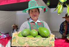 Cusco exportará 50 toneladas de palta a Centroamérica