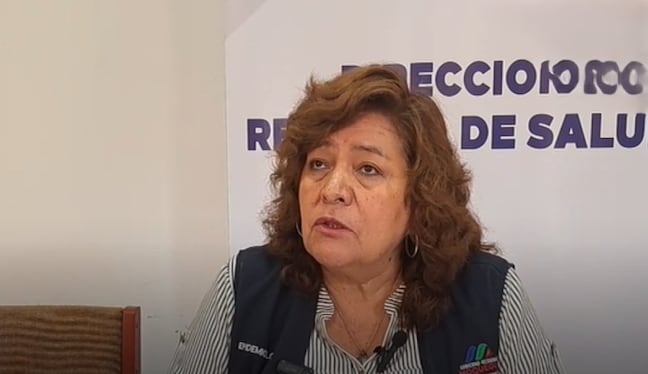 Responsable de Epidemiología de la Dirección de Salud Moquegua, Carmen Farfán. (Foto: Difusión)