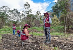 Recuperarán ecosistemas en más de tres mil hectáreas degradadas en Cusco