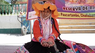 Productores de nueve regiones llegan a Huancayo para trueque de semillas