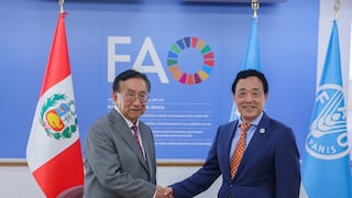 Presidente José María Balcázar se reunió con director general de la FAO