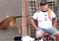 Indignación en Ica tras agresión a perro enfermo que posteriormente falleció