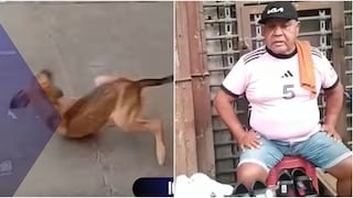 Indignación en Ica tras agresión a perro enfermo que posteriormente falleció