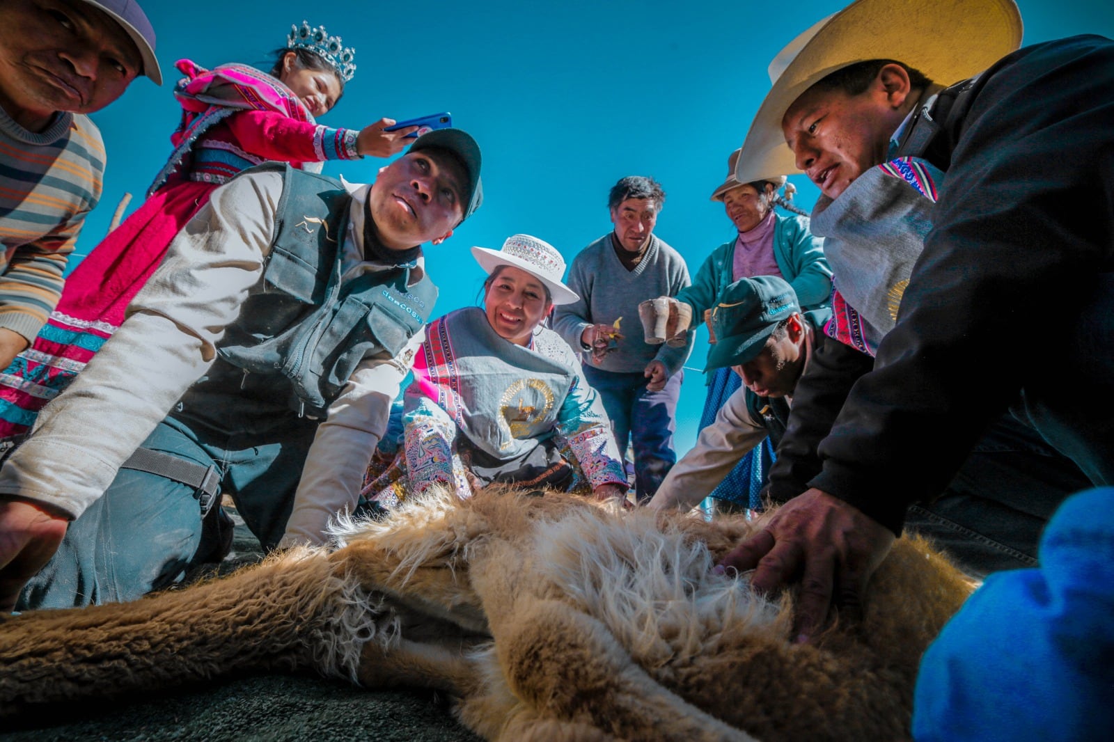 Esquila realizada por los pobladores. (Foto: Difusión)