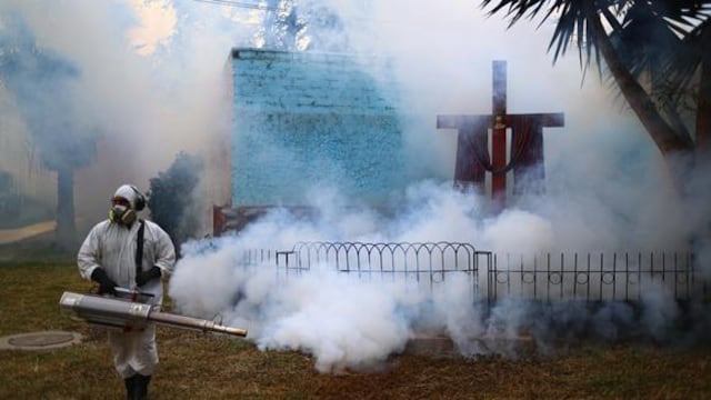 Dengue en Perú: Minsa lanza alerta epidemiológica ante 75 muertes y 58.000 casos 