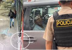 Moquegua: Detienen a varón que atacó a perro con pedrada en la cabeza