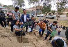 Ica: estudiantes realizan reforestación plantando árboles nativos de huarangos
