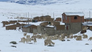 Distribuyen frazadas ante ola de frío en el Altiplano