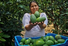 La Libertad: Anuncian Procompite 2025 que financiará proyectos productivos