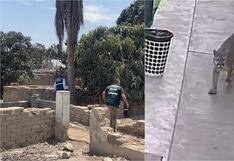 Chincha: continúa la búsqueda del puma andino que fue avistado en el centro poblado Condorillo