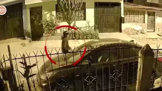 Universitaria muere tras resistirse a robo en San Juan de Lurigancho