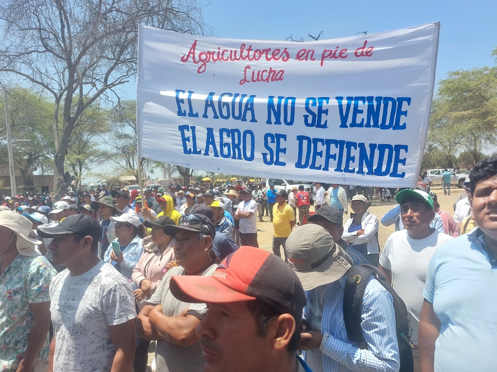 Tras la audiencia pública, el presidente de la Comisión Agraria del Congreso de la República, Eduardo Castillo, pidió la declaratoria de emergencia y dijo que eso ayudará a solucionar la escasez de agua que afecta a miles de hombres del campo. En tanto, los campesinos pidieron agua para terminar su campaña chica