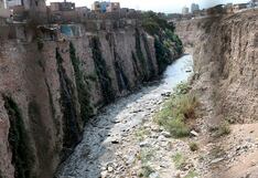Hallan bacterias resistentes a los antibióticos en agua del río Rímac usada para cultivo de verduras y hortalizas