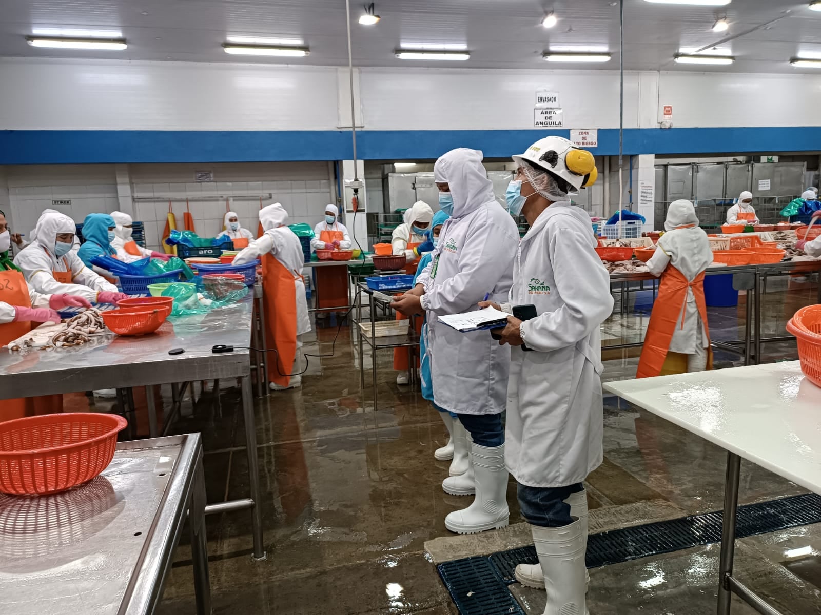 Brindarán cursos de seguridad y bioseguridad en la cadena pesquera y acuícola