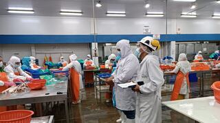 Piura: Brindarán cursos de seguridad y bioseguridad en la cadena pesquera y acuícola